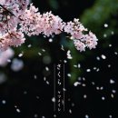 송*의
