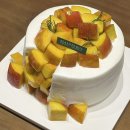 신세계농장(1) | 대구 신세계백화점 케이크 시즈니크 SEASONIQUE 복숭아 농장 와르르 케이크 맛집 추천 후기