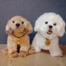 화순성심병원 이미지