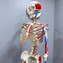 홍성중앙외과의원 이미지