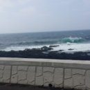 신양목장 이미지