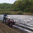 청자농장 이미지