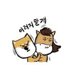 시원유리막 전문정비 이미지