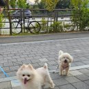 행복을 배우는 공간 이미지