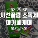 시선끌림