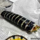 김밥권선생 이미지