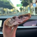 한담팥빵