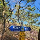 제193차 11월05일(목) 창립산행 이미지