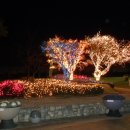 환호해맞이공원 이미지