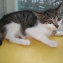 서림동-9 이미지