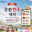 춘천 축제 '2026 강원한우데이' 할인,공연,작년후기까지 총정리