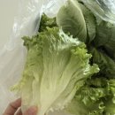 한세농장 이미지