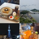 담재건강식품 | 나혼자 나고야 (2): 킷사모닝, 이누야마성, 사카나팩토리, 이온몰, 토리키조쿠, 미라이타워, 오아시스21...