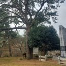 오케이푸줏간 이미지