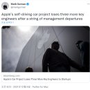 수석카메니저 이미지