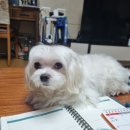 탐스메디칼 이미지