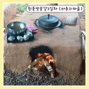 공감공간 해안마을 | 청촌맛공감 인제 DMZ 3일차 가성비여행 하추리 산촌마을 손두부 가마솥밥 체험 후기