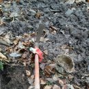 봉화산장 이미지