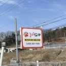 놀러오개 애견유치원 애견호텔 에버랜드점 이미지