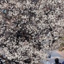 내일날씨 이미지