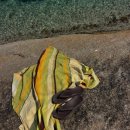 지앤케이 | WISH ★ 1월의 위시리스트!