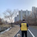 러버독&도그팰리스 이미지