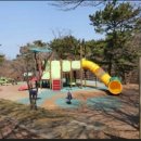 절물자연휴양림 유아숲체험원 이미지