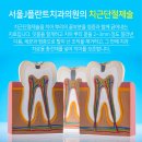 서울J플란트치과의원 이미지