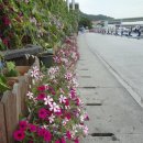 마래주유소 이미지