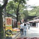 마이산청소년야영장 | 진안 마이산 청소년야영장 캠핑후기 &amp; 수선루