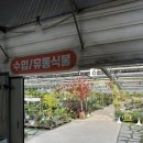 화원큰별유치원 | 경기도 파주 가볼만한곳 조인폴리아 화원 방문 후기