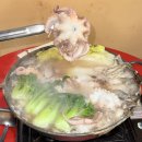 청량리38 | 경동시장 맛집 태호수산백화점 쭈꾸미 내돈내산 | 청량리 웨이팅 맛집 솔직후기