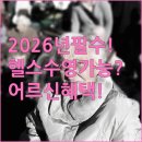 우리동네당구클럽 | 2026년 어르신 스포츠 상품권, 헬스장부터 수영장까지 사용 가능