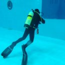 올림픽수영장 이미지