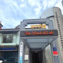 강남 어린이스포츠 센터 와이키키짐 유아체육 인라인 리듬체조 농구 프로그램 대만족 후기