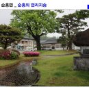 순흥의 연리지송 이미지