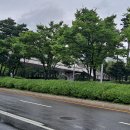 너더리육교 이미지