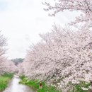성북2리마을회관 이미지