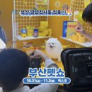 2호선 벡스코역 1번출구 | 🎉2025 부산 펫쇼 총정리 - 일정 및 프로그램, 가는 법