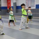 브레인박사태권도장 | 창원태권도 태권도로 변화하는 나의 삶
