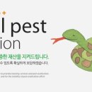 밤실로2 이미지