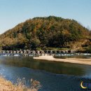 증평장뜰재래시장 이미지