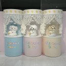 웃기천 | 치이카와 베이비 팝업 • 굿즈 • 더현대 후기