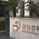 금감원, `선행매매 의혹` 모건스탠리 들여다 본다 이미지