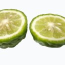 라임 이미지