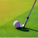 헬로우골프투어 이미지