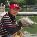 대성낚시터 이미지