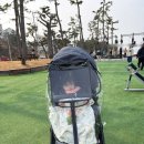 사근진해변 해중공원 | 강릉 사근진해변 해중공원 전망대에서 오션뷰 헬스장 방문 후기(with. 유채꽃밭)