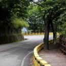 순천만그리고나 이미지