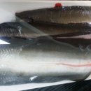 충경식당 이미지